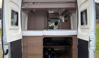 Bravia Swan*2021 full