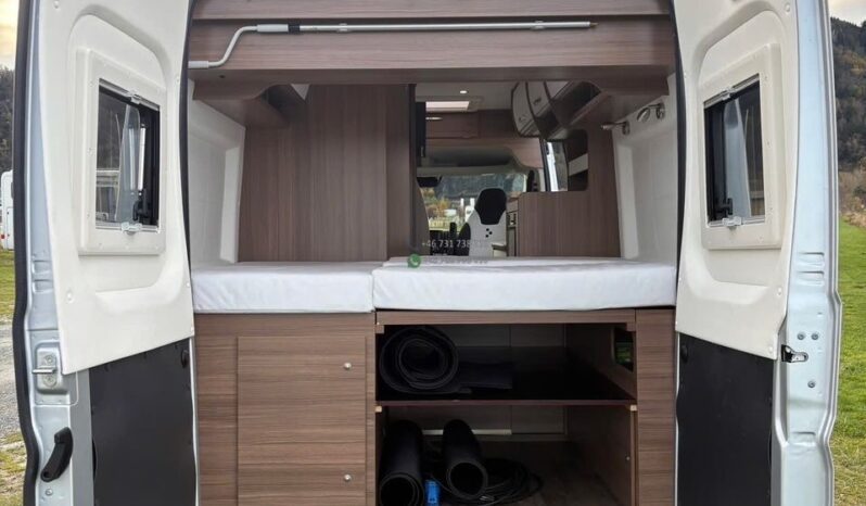 Bravia Swan*2021 full