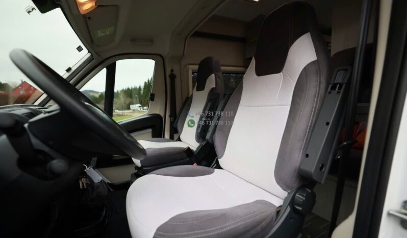 Roller Team Livingstone 2 Advance*2020 full