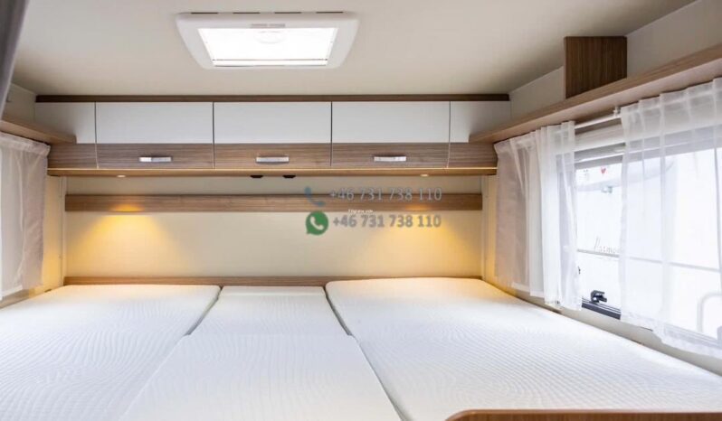 Carado 447*2019 full