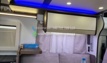 BENIMAR Tessoro* 2023 full