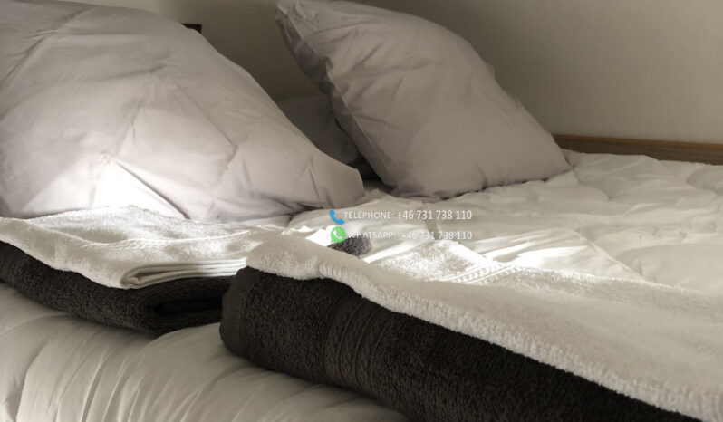 CARADO A461* 2019 full