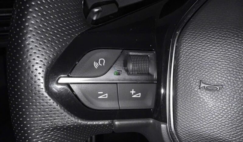 Peugeot 3008*2020 full