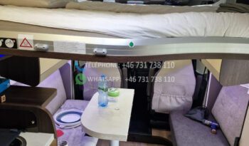 BENIMAR Tessoro* 2023 full