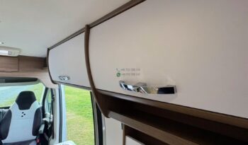 Bravia Swan*2021 full