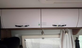 Bravia Swan*2021 full