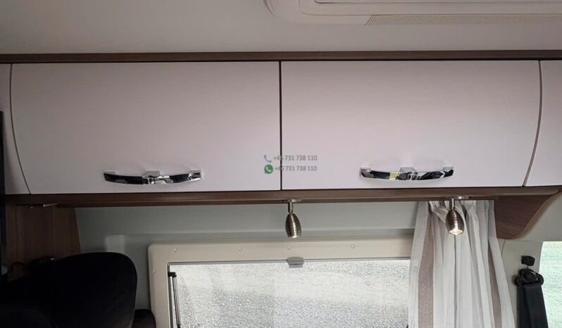 Bravia Swan*2021 full