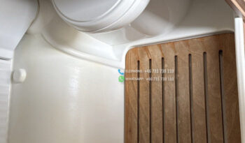 CARADO A461* 2019 full