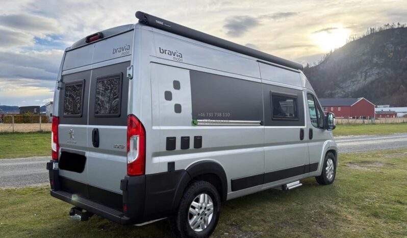 Bravia Swan*2021 full