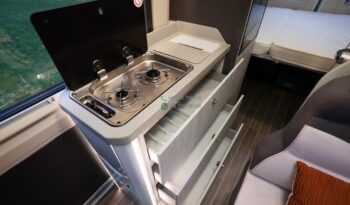 Roller Team Livingstone 2 Advance*2020 full