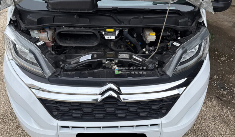 CARADO A461* 2019 full