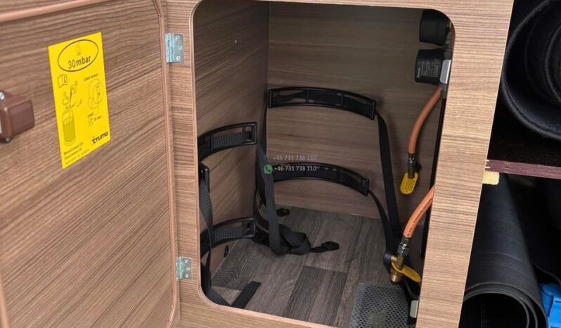 Bravia Swan*2021 full