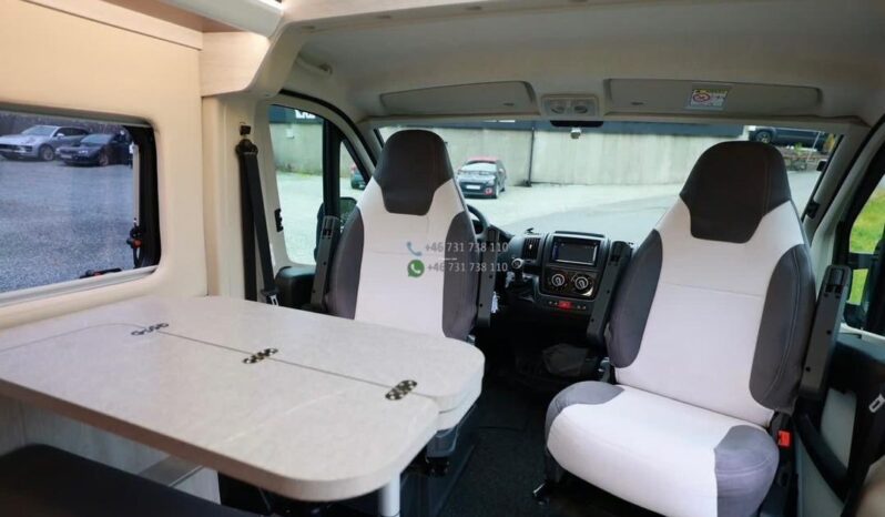 Roller Team Livingstone 2 Advance*2020 full