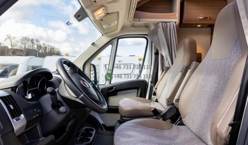 Carado 447*2019 full