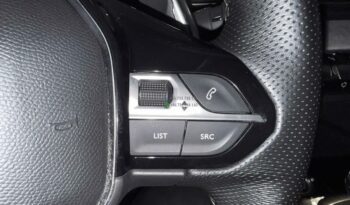 Peugeot 3008*2020 full