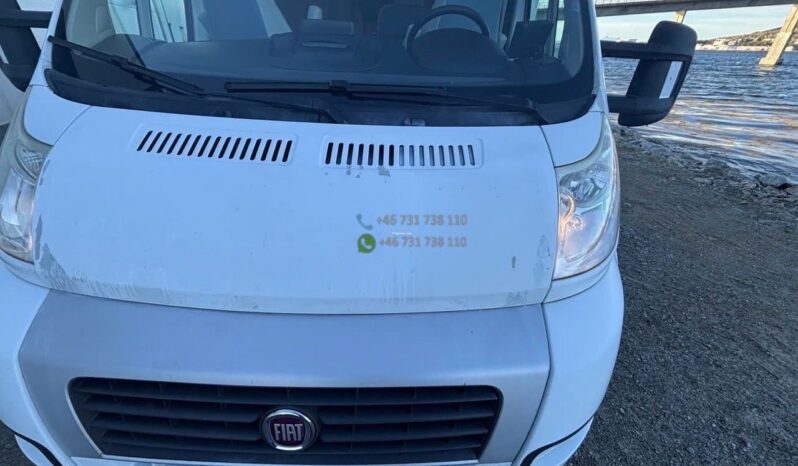 Sunlight T-447*2013 full