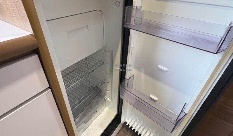 Bravia Swan*2021 full