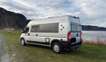 Bravia Swan*2021 full