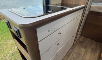 Bravia Swan*2021 full