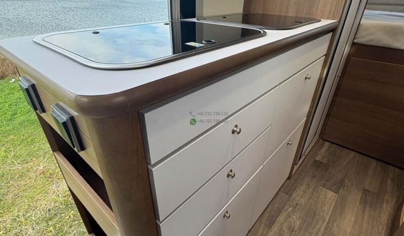 Bravia Swan*2021 full