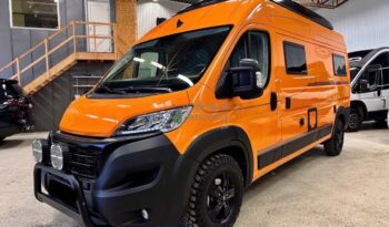 Robeta Kronos*2025 full