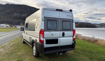 Bravia Swan*2021 full