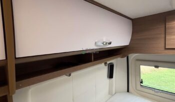 Bravia Swan*2021 full