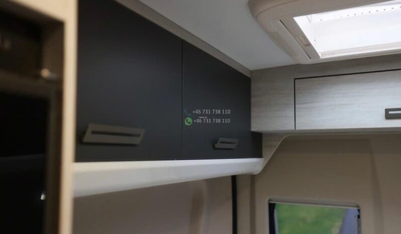 Roller Team Livingstone 2 Advance*2020 full