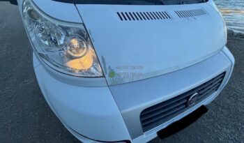 Sunlight T-447*2013 full