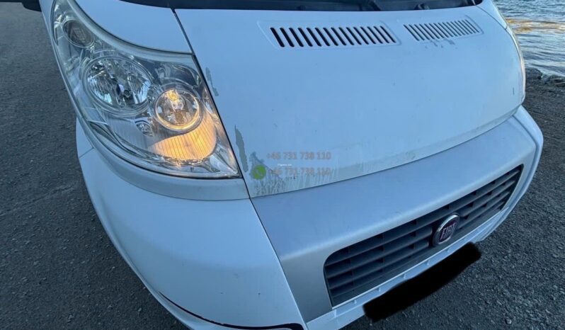 Sunlight T-447*2013 full