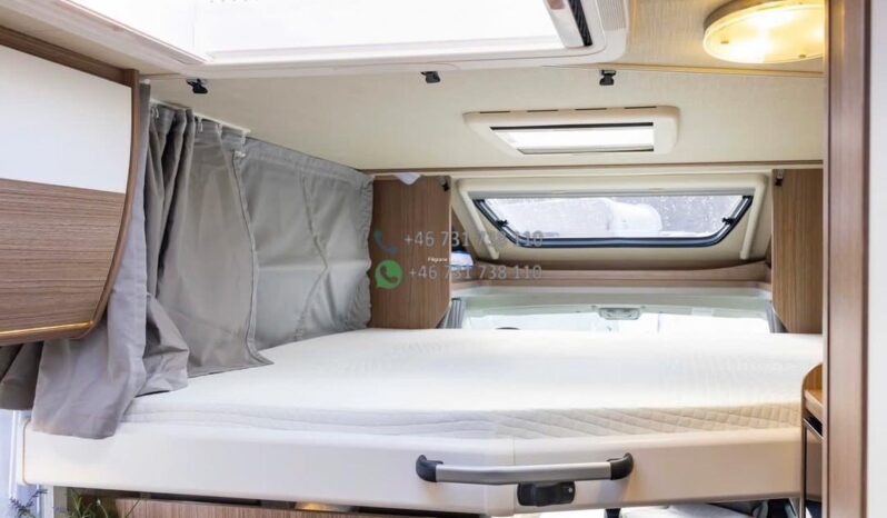 Carado 447*2019 full