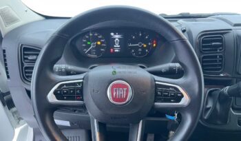 Sun Living*2023 full