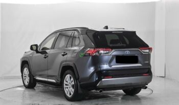 RAV4*2019 full