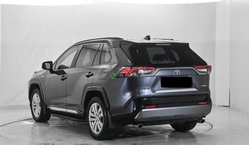 RAV4*2019 full