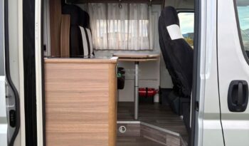 Bravia Swan*2021 full