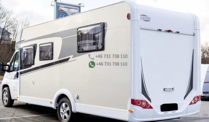 Carado 447*2019 full