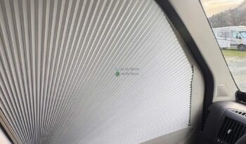 Bravia Swan*2021 full