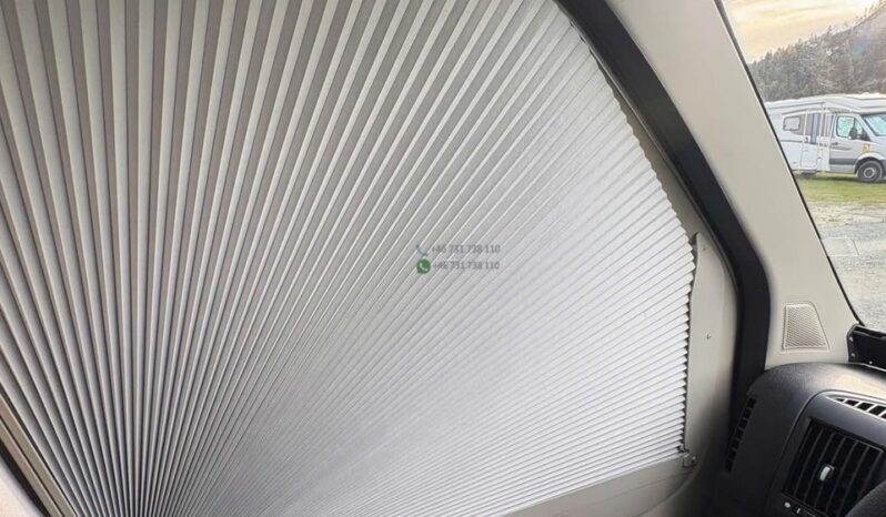 Bravia Swan*2021 full