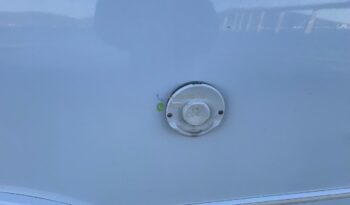 Sunlight T-447*2013 full