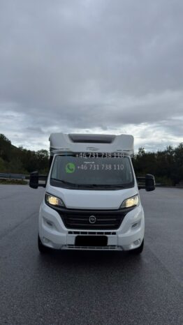 Carado T 449 Emotion*2018 full