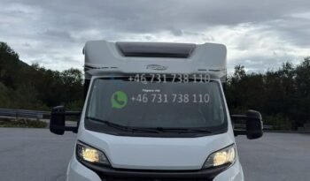 Carado T 449 Emotion*2018 full