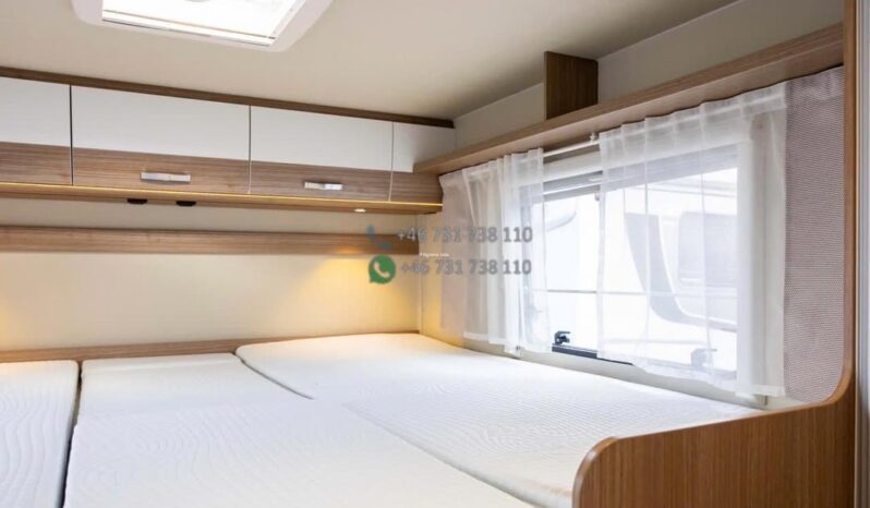 Carado 447*2019 full