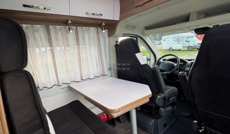 Bravia Swan*2021 full