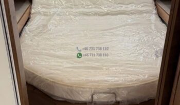 Rapido Compact*2024 full