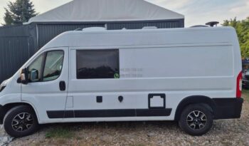 Laika Boxer*2021 full