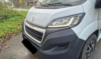 Laika Boxer*2021 full