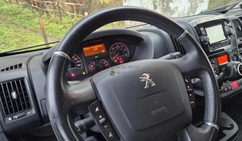 Laika Boxer*2021 full