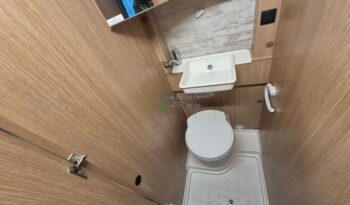 Laika Boxer*2021 full