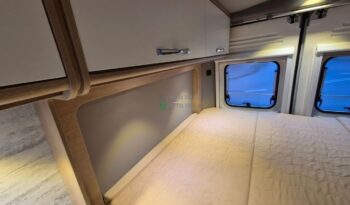 Laika Boxer*2021 full