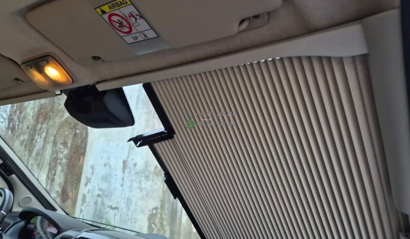 Laika Boxer*2021 full